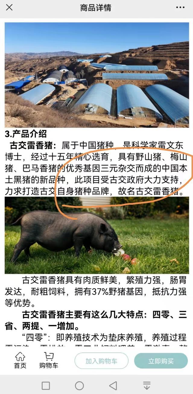 古交市市场局长涉嫌包庇违规企业 古交纪检部门表态 (图1) 古交市市场局长涉嫌包庇违规企业 古交纪检部门表态 (图1)