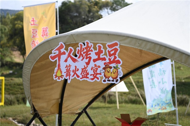 千人围炉烤土豆 一城烟火暖金秋——岚县“薯光溢彩·秋实飘香”千人烤土豆盛宴激活农文旅融合新动能(图12)
